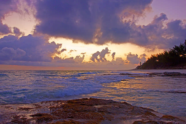 long bay