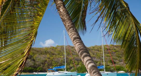 2014_ss_grenada_stuart_pearce_194_resized-1