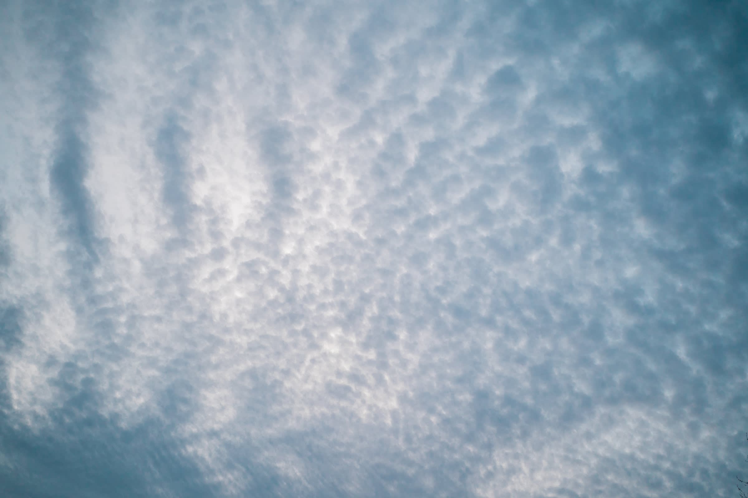 Altocumulus  