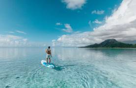 Destinations for Wildlife Sailing Holidays