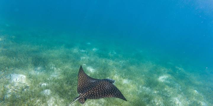 14 Day Belize Bareboat Itinerary