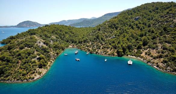 Mediterranean
