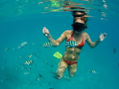 ss_mar08_thailand_koh_chang_046