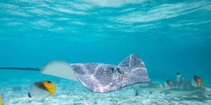7 Day Tahiti Bareboat Itinerary
